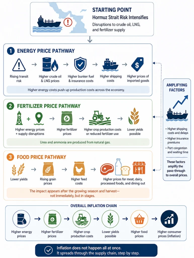 The mechanism of rising prices - how the Hormuz strait risk translates into inflation